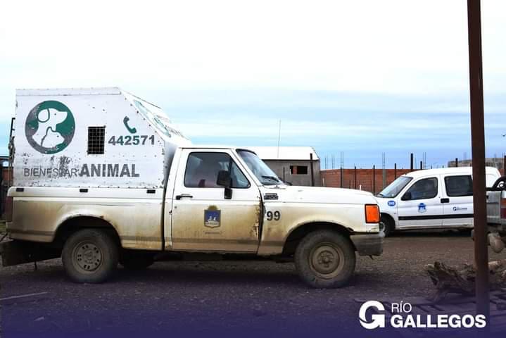 BIENESTAR ANIMAL