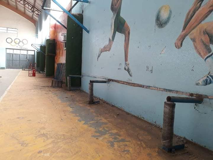 53533241_10213849689784912_1242424087570022400_n