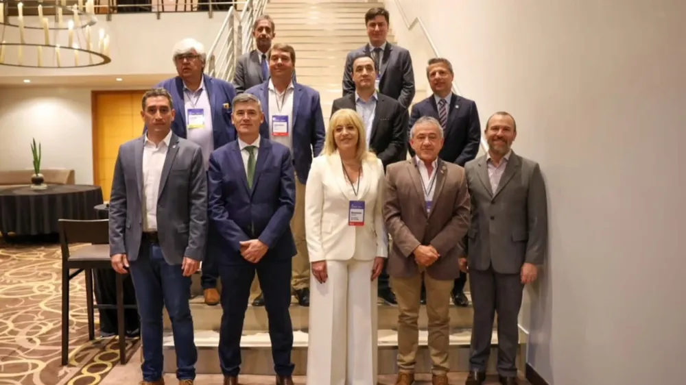 webvero - 2025-05-05T153542.941