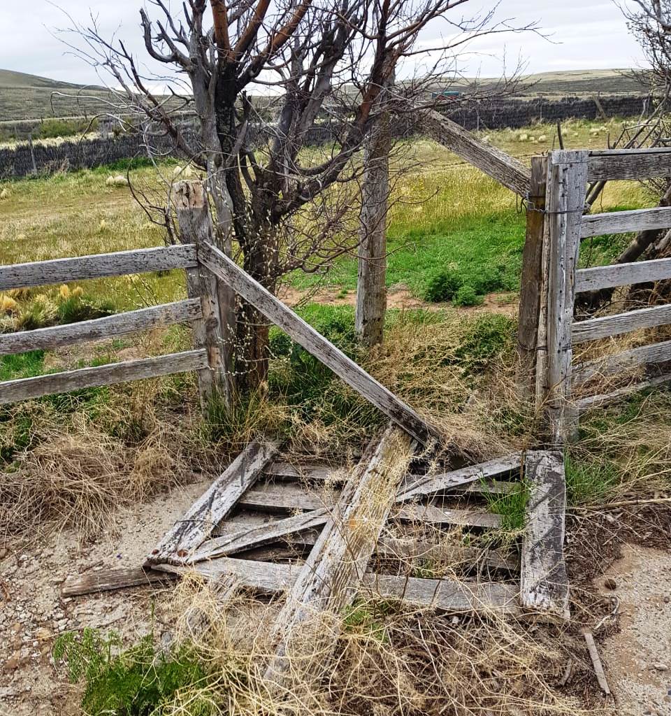 multimedia.normal.b49edeeb0325302e.494d472d32303138313130392d5741303032315f6e6f726d616c2e6a7067