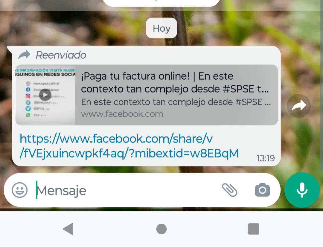 WhatsApp_Image_2024-02-28_at_13.24.37