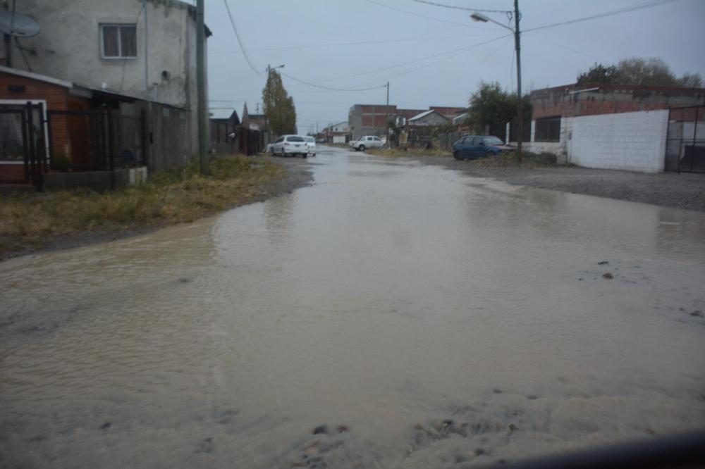 d83307a3-baa0-4491-8fd2-c35776cedff5