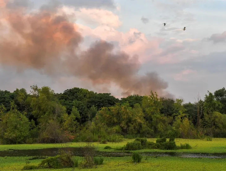 incendio-reserva-ecologicajpeg