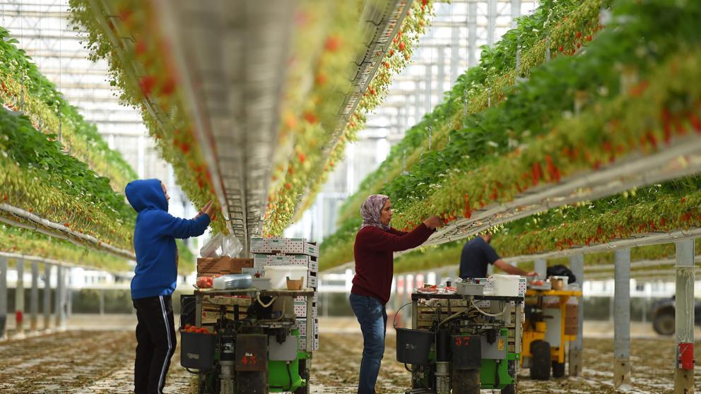 AFP_1Q5105_20200324142515-kq2H-U4885767773hqF-992x558@LaVanguardia-Web