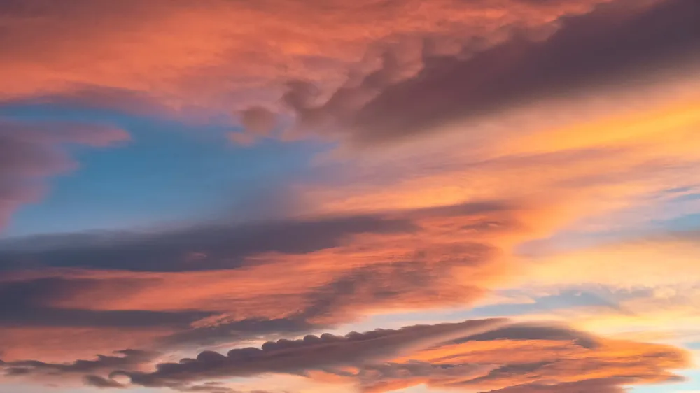 webvero_20250220_094601_0000