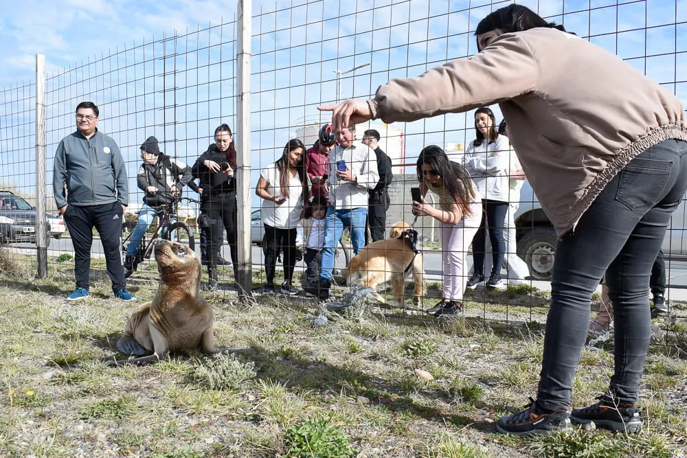 462495530_957703789722561_8154507464228970150_n