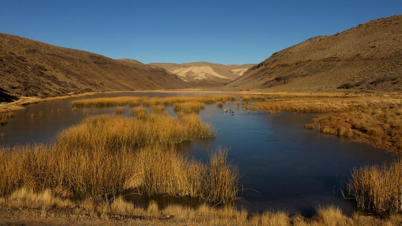 photo_2023-03-18_13-27-25