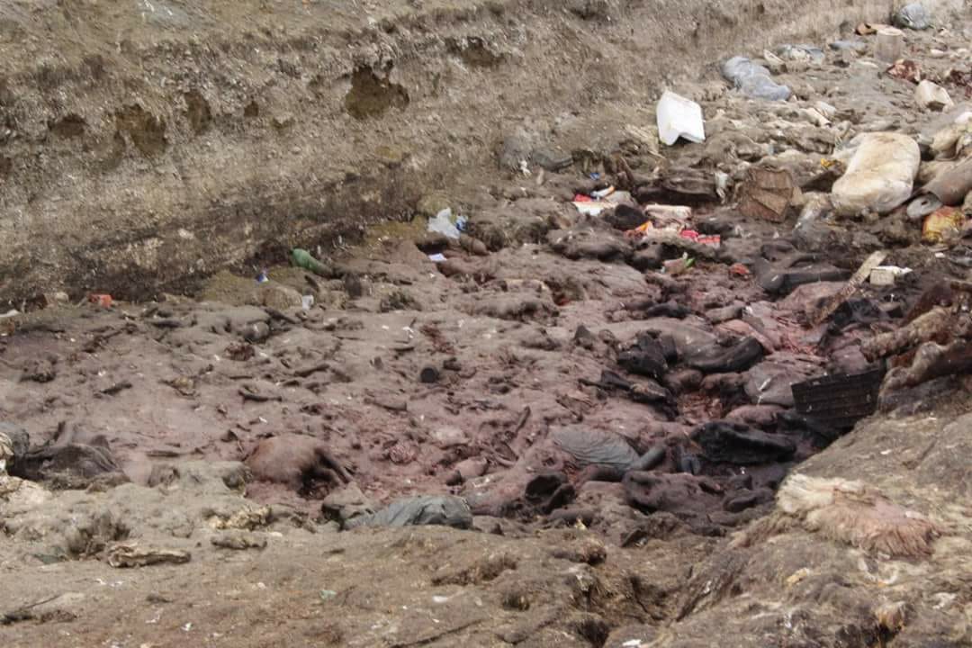 5cca1c3a-7d5b-4fcd-a80d-8ad7dab303e2