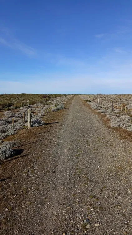 WhatsApp_Image_2024-10-14_at_12.23.26_PM_2