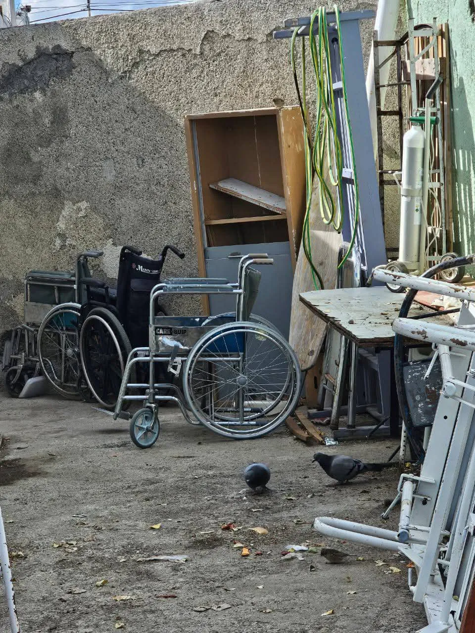 FB_IMG_1740518070552