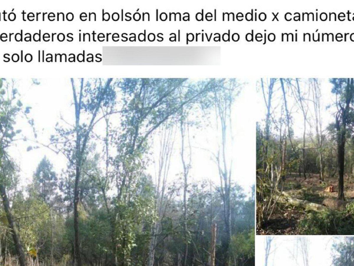bolsón