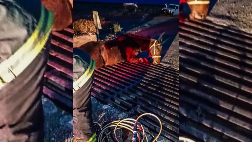 webvero - 2025-03-10T110244.514