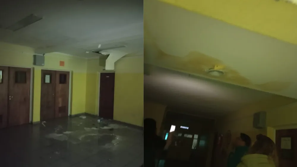 webvero - 2025-05-19T143516.676