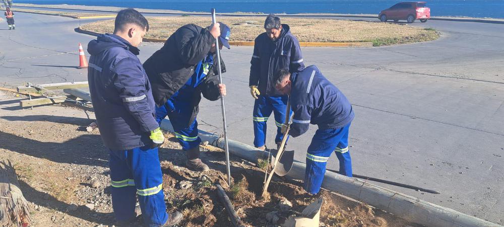 8a0106ea-41c9-4348-8651-3a64db8a2bb5