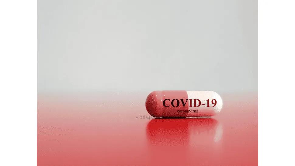 zyro-image_x1x.png_966076397