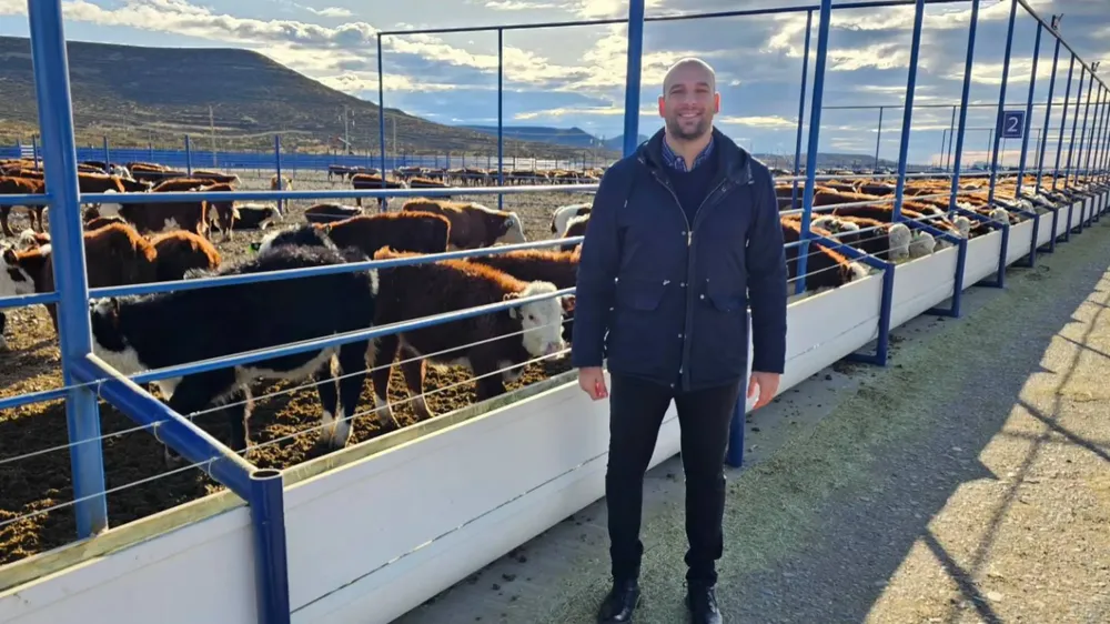 webvero - 2025-03-11T101025.150