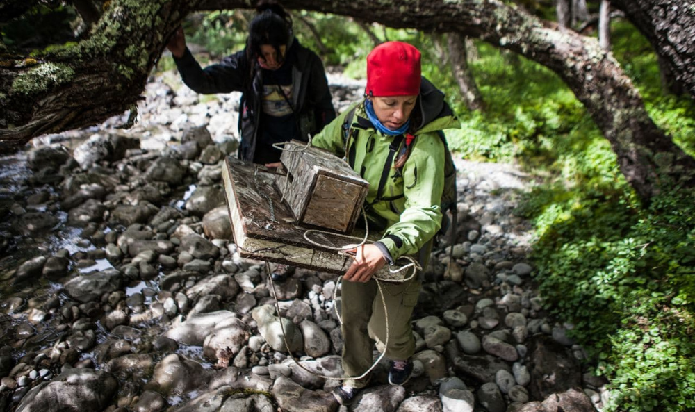 Foto de Gonzalo Pardo