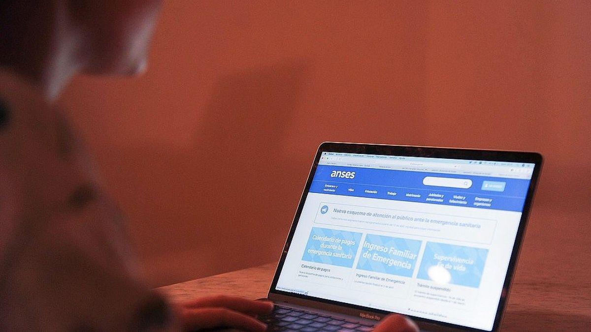 ANSES AYUDA