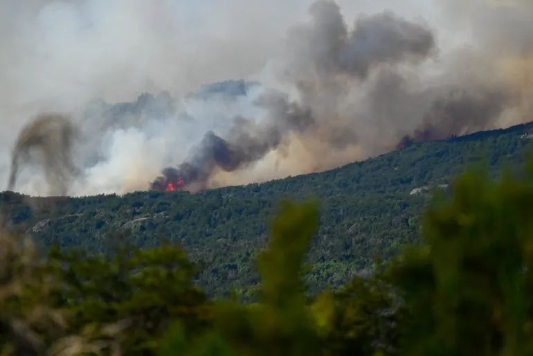 el-intendente-los-alerces-ratifico-que-el-incendio-fue-intencional-1jpg