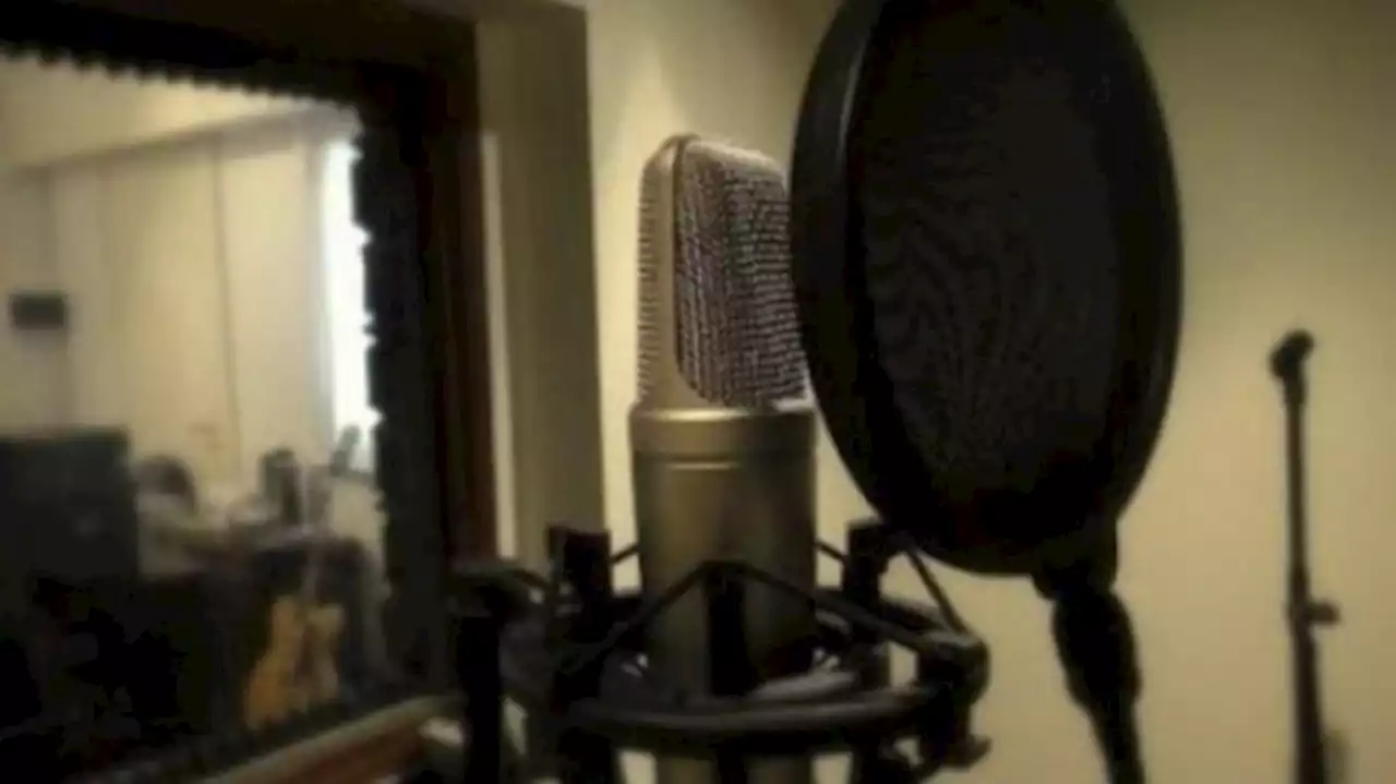 paro-de-actores-y-actrices-de-doblaje-en-reclamo-de-una-recomposici-n-salarial-1552715514014679042