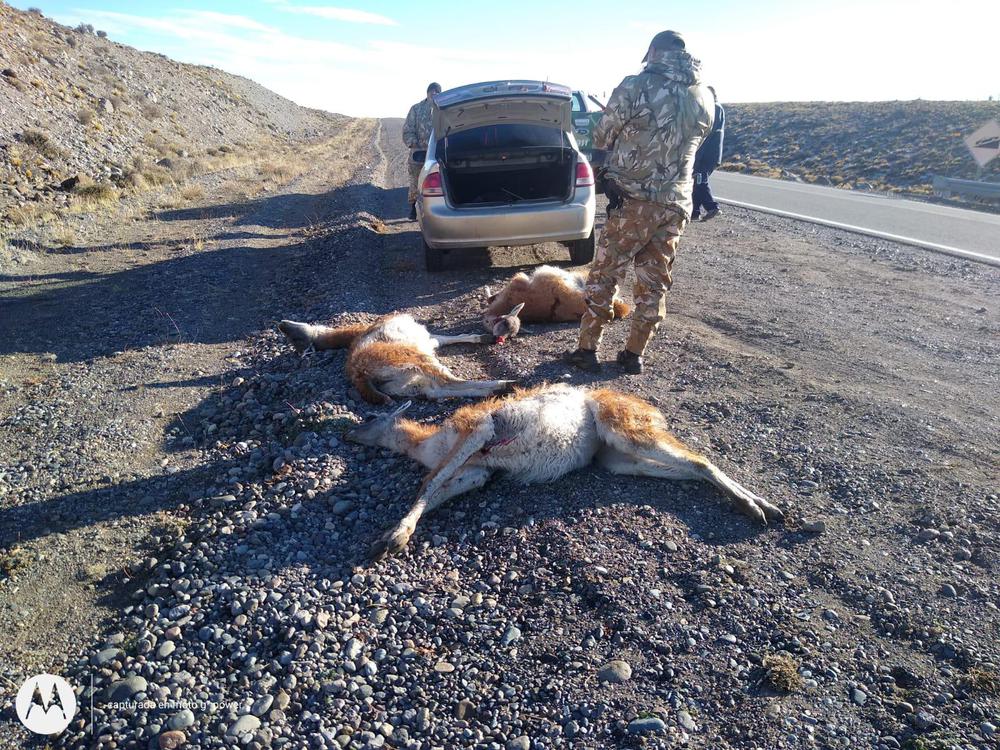 75116527-be14-4ac3-a3c4-ff2534b6c5d0