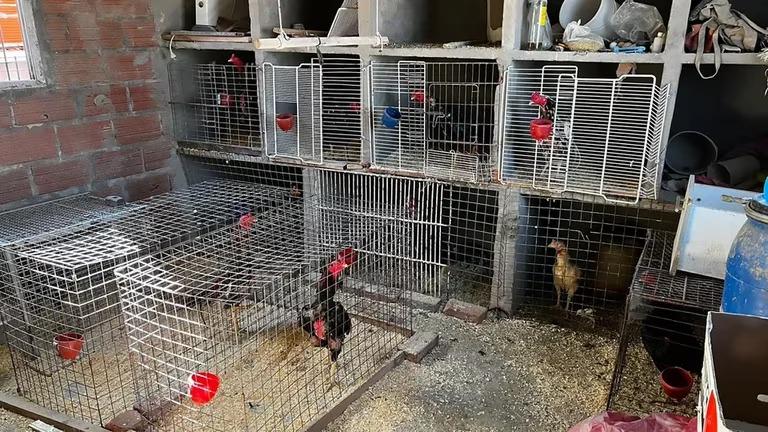 WhatsApp Image 2023-02-25 at 18.17.32 (1)