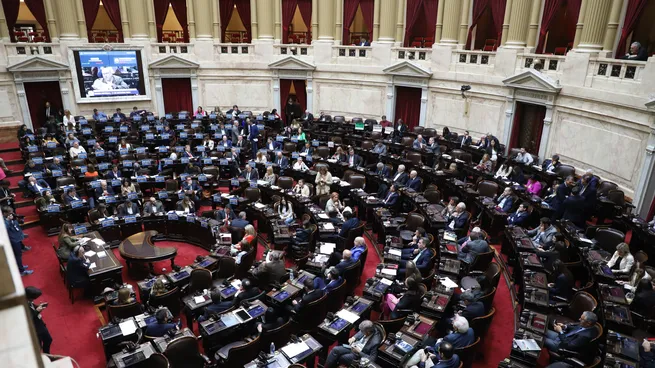 diputados-veto-ley-universitariajpeg