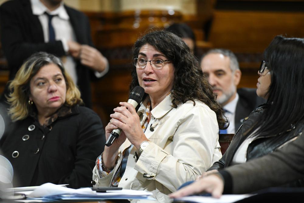 ianni comision presupuesto