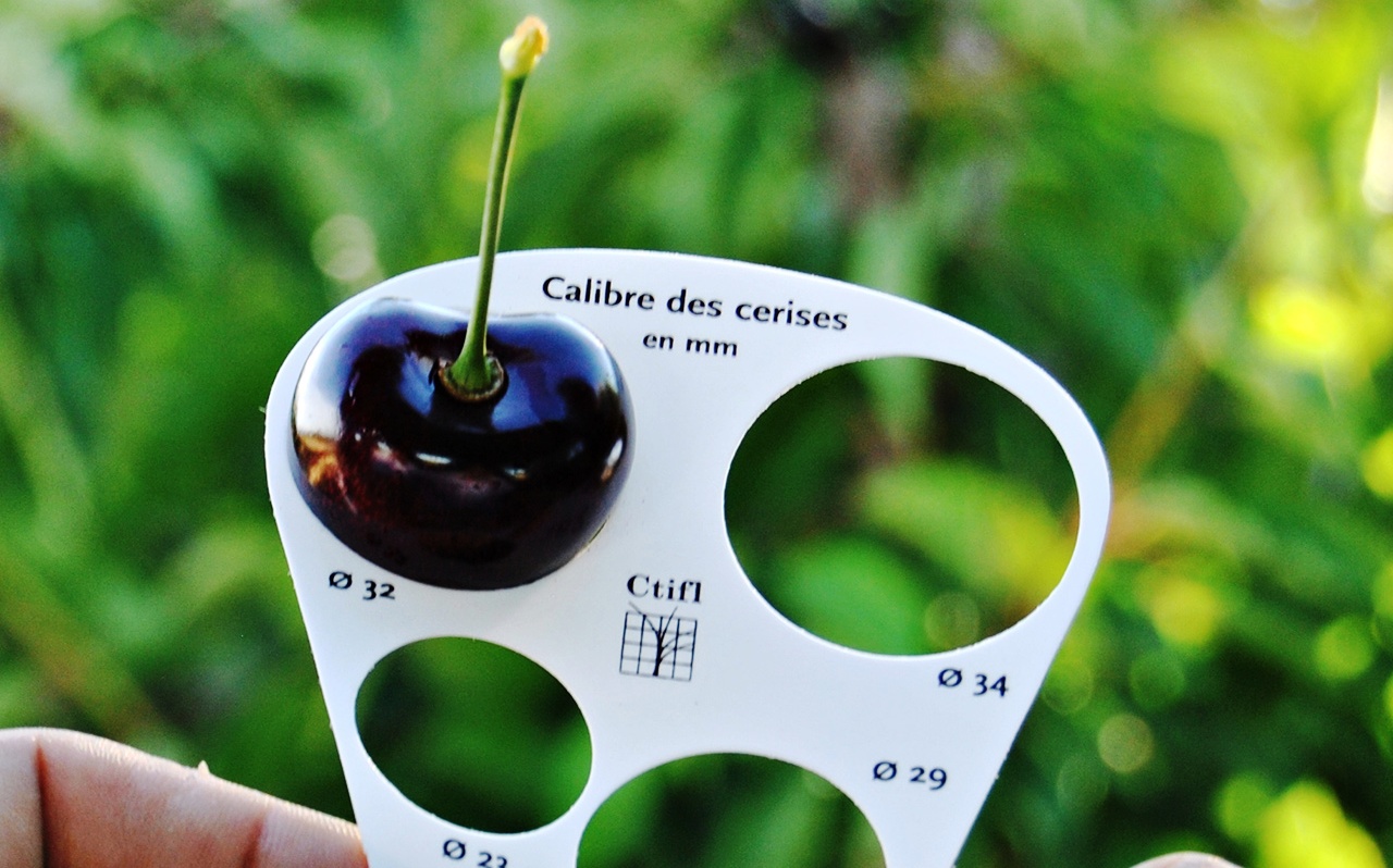 producto-rio-lara-05