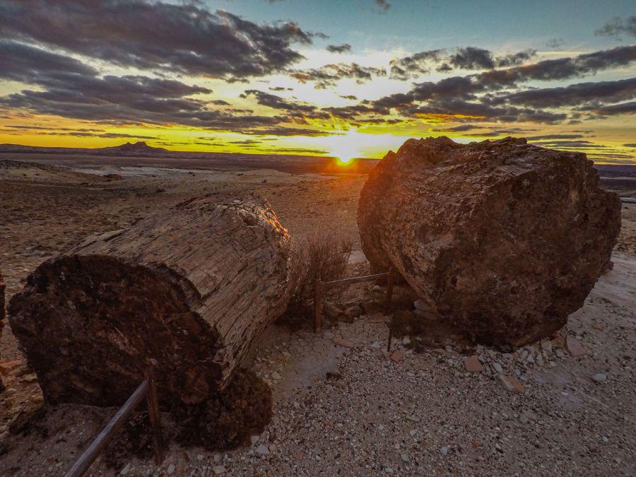 3361cfca7aef45642116f1c1d08216b7_XL