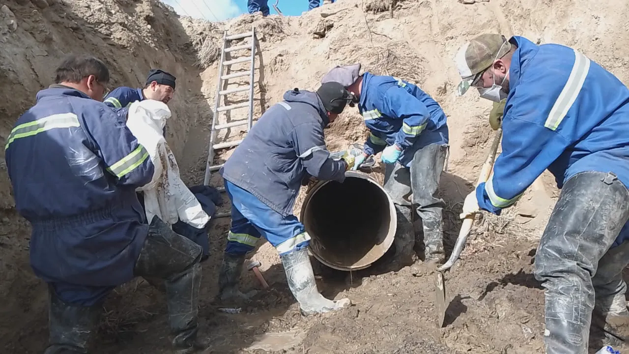 WhatsApp_Image_2025-02-19_at_12.18.44