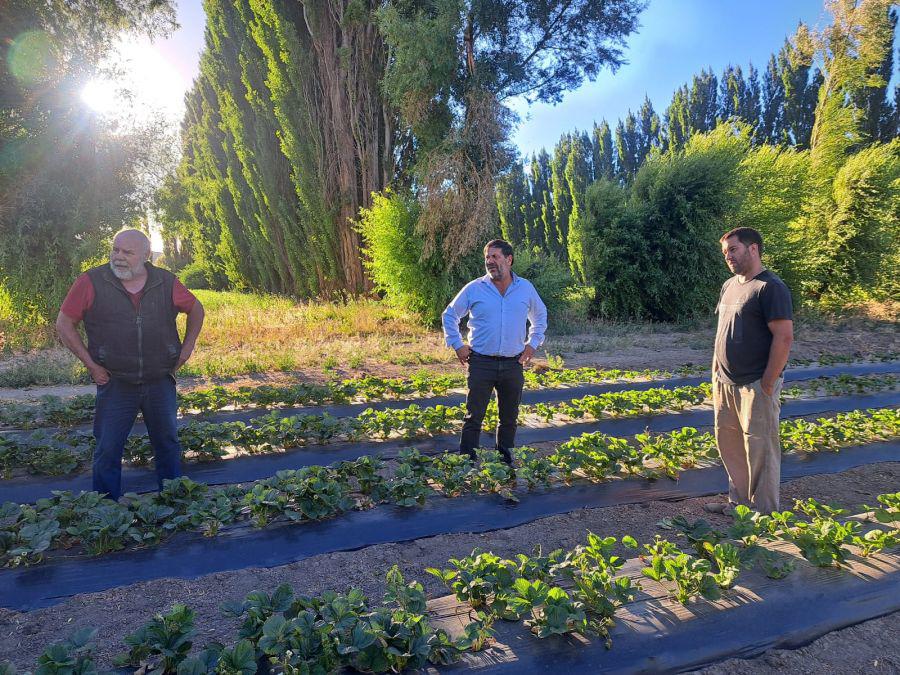 de8e33894f4e1ce378e3eebd00cb31d2_XL