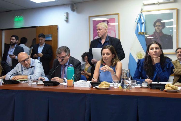 Plenario-de-las-comisiones-de-Legislacion-del-Trabajo-y-Mujeres-diputados-licencias