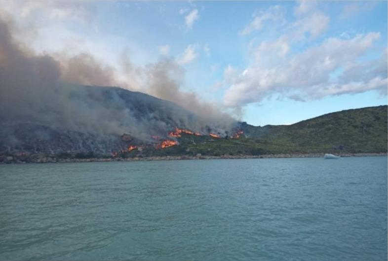 WhatsApp Image 2023-01-09 at 16.40.59