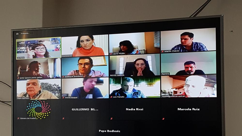 12-08-20 comision de legislacion general