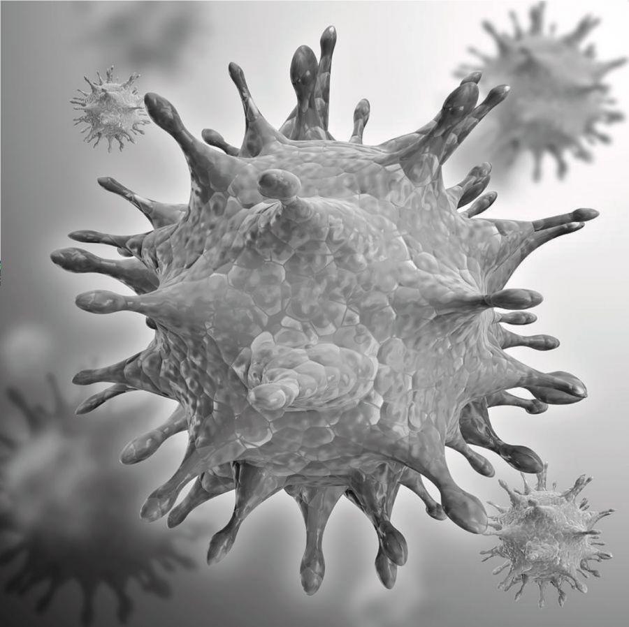 df552b6322ca59f614b3396fe86d0e25_XL