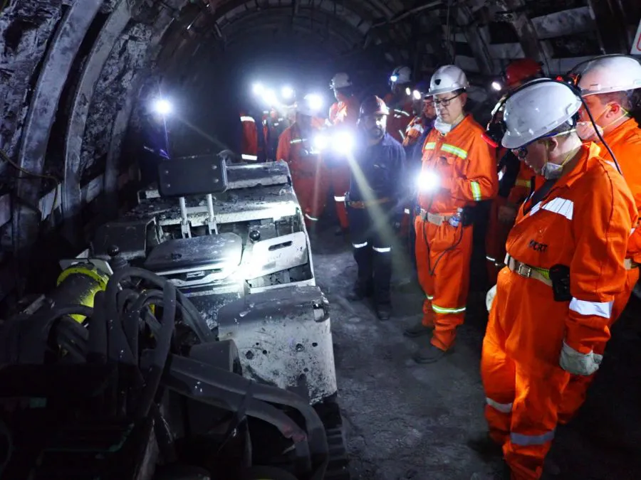 8988d7d910feda32b096b69a8df88579_XL