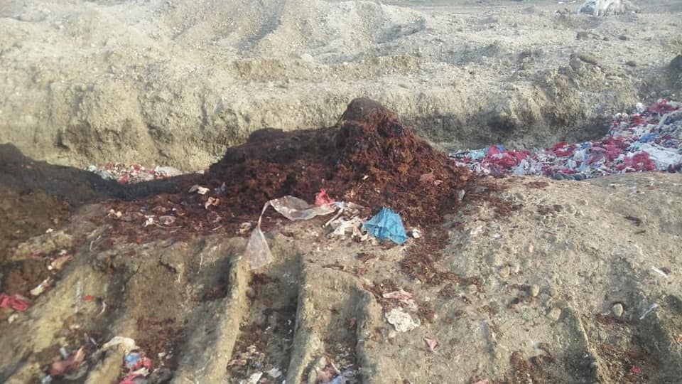 55589261_599607787170239_5916099515009466368_n