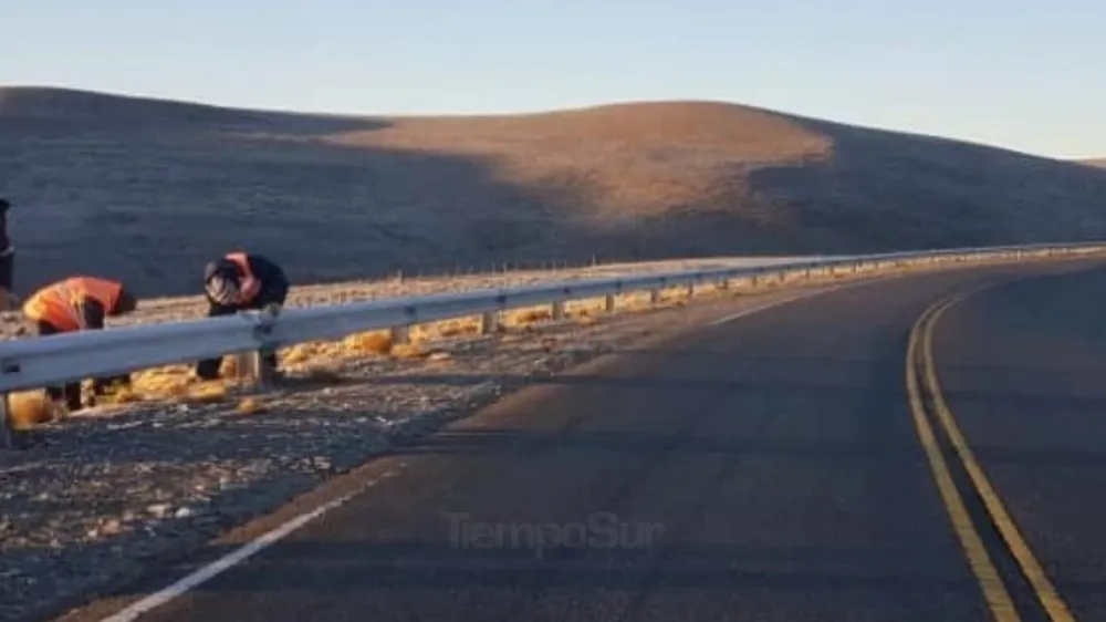 webvero - 2025-10-29T104158.473